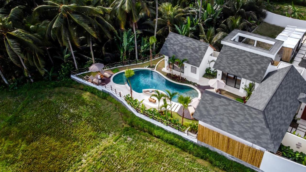 Villa Crystal Lagoon By Balisuperhost Ubud  Bagian luar foto